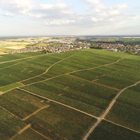 Les Portes Du Vignoble Nuits-Saint-Georges Kültér fotó