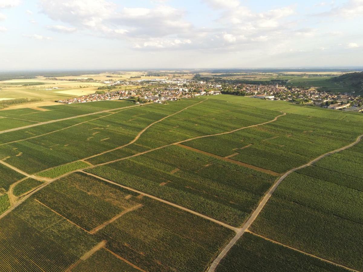 Les Portes Du Vignoble Nuits-Saint-Georges Kültér fotó